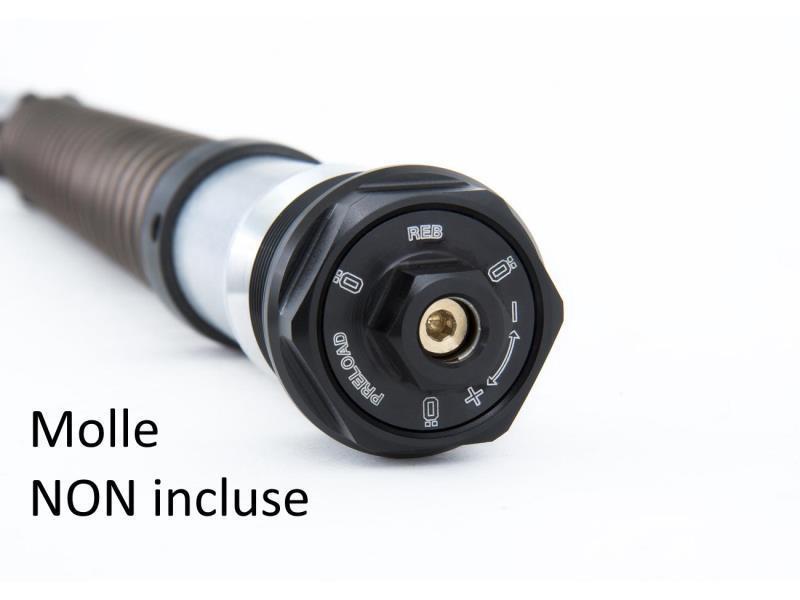 Ohlins Cartuccia NIX22 BMW R Nine T  Scrambler / Urban GS  - sospensioni