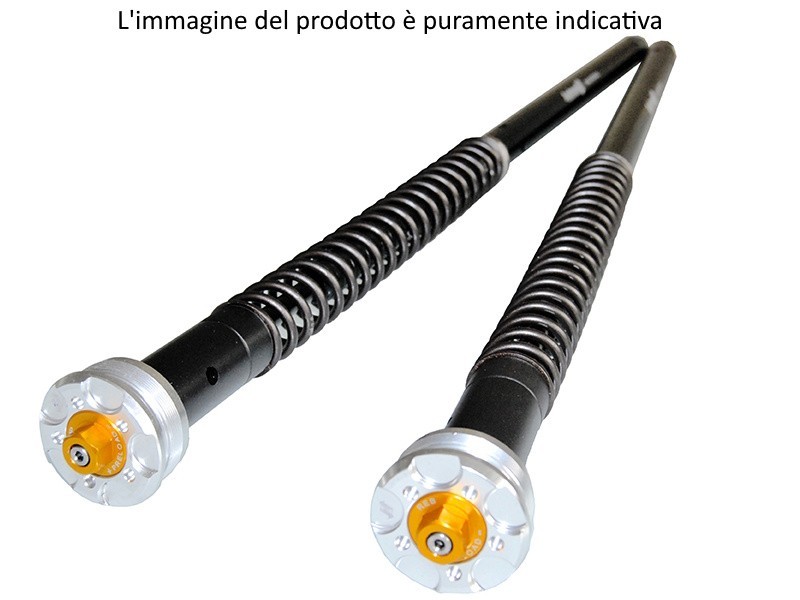 Andreani Misano Evo 2 cartuccia KTM 890 SMT 23/26  - sospensioni
