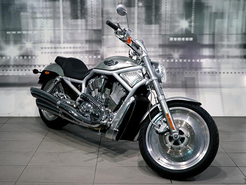 Harley Davidson V-Rod 1130 VRSCA Alluminio usata - moto custom
