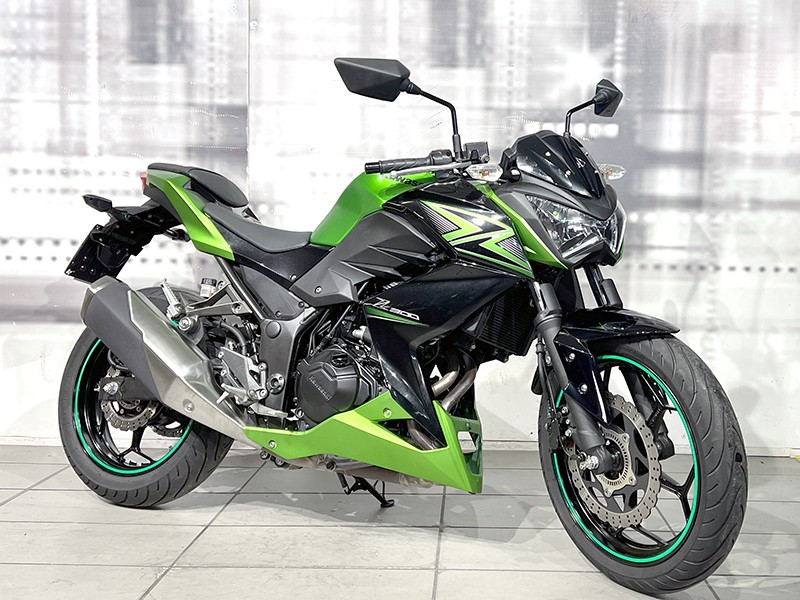 Kawasaki Z 300 Abs Verde usata - moto naked