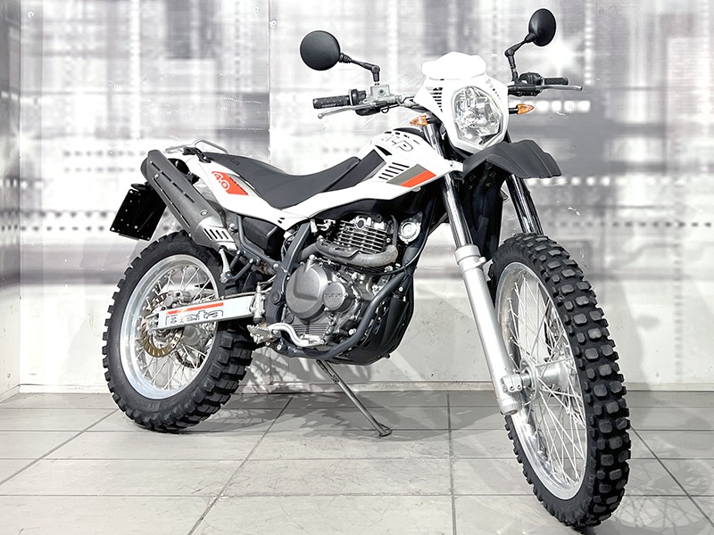 Betamotor Alp 4.0 Bianco Perla usata - moto enduro
