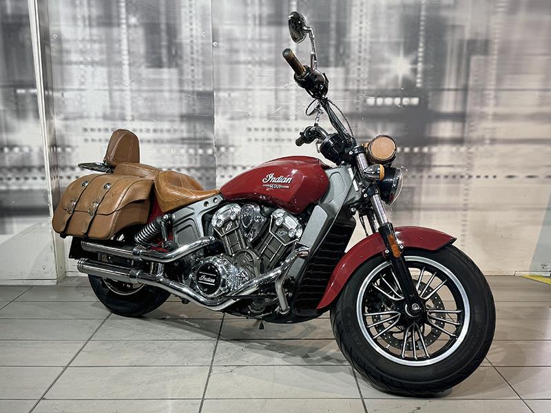 Indian Scout Amaranto usata